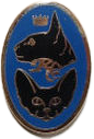 Navy Pin Badge