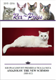 Rex-Press - 2025 paper copy